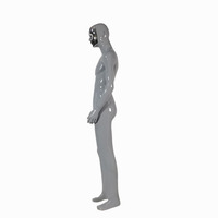 Modèle de muscle complet pour hommes, peut être personnalisé