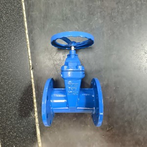 Vanne à opercule Z45X DN100 en fonte à siège flexible, à opercule unique, pour coupure d'eau basse pression - Product Image 1