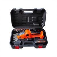 Taille-haie 2-en-1 à batterie lithium-ion 21V avec lame de 300 mm, plusieurs options de couleurs, garantie 1 an pour la taille des branches