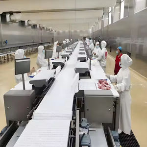 Yeni Domuz Kesim Hattı Konveyör Bantlı Mezbaha Sığır Eti Kesme Et Üretim İşleme Hattı 304 Paslanmaz Çelik - Product Image 2