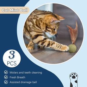 Juguetes de Hierba Gatera Comprimida 100% para Satisfacer la Necesidad de Estimulación del Gato, Bola de Hierba Gatera - Product Image 4