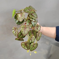 Impression 3D de plante artificielle pour la maison et la décoration de paysage mural de plantes de mariage feuille