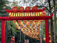 Orient-Laterne im chinesischen Design, wasserdicht, für den Außenbereich, beleuchtet, Weihnachtsbeleuchtung, Preis inklusive Licht für Weihnachten im Freien