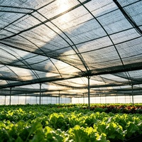 HDPE milieuvriendelijke winddichte UV-beschermende zware schaduwnetten voor landbouw en tuinbouw