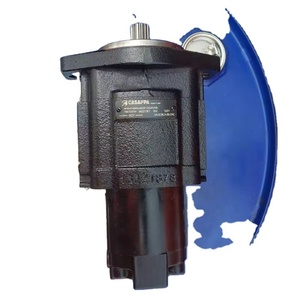 Bomba de Engranajes Hidráulica KP30.43 para Casappa, Utilizada para Grúa TEREX RT1070 KP30.43-A8X9-LMEFG-CSC/LP20 - Product Image 1