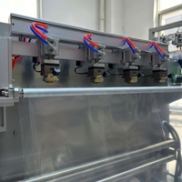 Mesin Pengemas Kertas/Film Minuman Premium 4 Stasiun Linear Tray Sealer Semi Otomatis Pneumatik Vakum Nitrogen CO2 Gas Flush