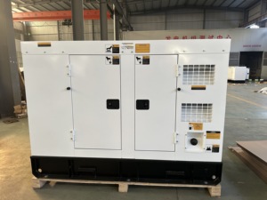 35kw ng גם גז lp כוח גנרטור גז גז נזה עם 600v 480v 240 208v 120v 3 הפלט פאזה מחולל טורבינה שוטר גז גנרטורים - Product Image 3