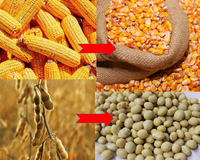 Décortiqueuse multifonctionnelle de céréales, égreneuse de maïs, décortiqueuse de blé, de haricots et de soja, moteur haute capacité, performance de décorticage de 99 %