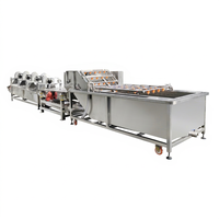 Automatische 500-Kg/u Chili-Zaadreinigingsmachine Peperstam Snijden Peperpeper Was-En Sorteermachine