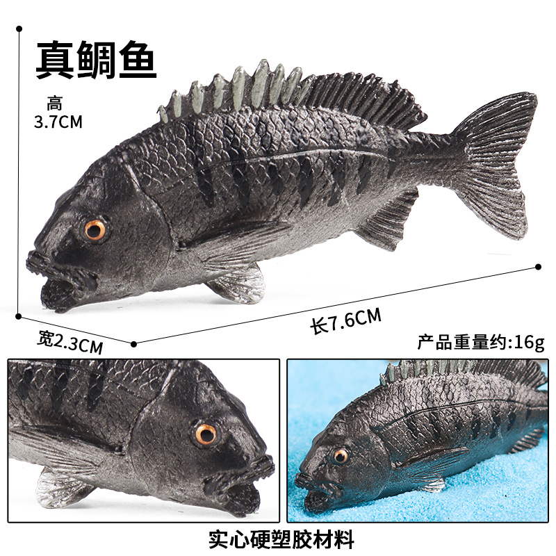 M-2768 Red Snapper