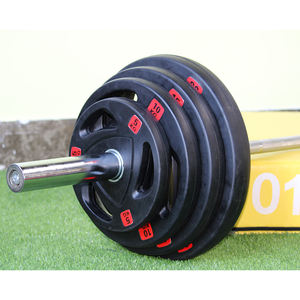 High Quality Gym Fitness Machine <strong>Rubber</strong> <strong>Coated</strong> <strong>Weight</strong> <strong>Plates</strong> - Product Image 3