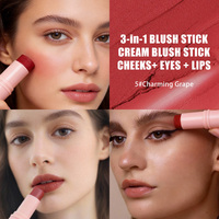 OEM 14 Warna Bentuk Bulat Single Face Cream Blush Stick Vegan Dengan Logo Anda, Saku, Travel, Grosir, Makeup Blush Vegan