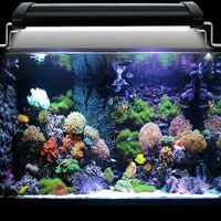 Lampes LED pour aquarium RGB à intensité variable, étanches IP65, barre lumineuse pour aquarium, lampe submersible sous-marine