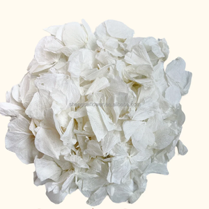 ดอกไฮเดรนเยียที่เก็บรักษาไว้38สีแห้งยาวนานสำหรับการจัดเรียงทำมือเค้กวันเกิดทำจากเรซิ่น - Product Image 3