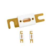 Fusible céramique standard ANL à action lente, limiteur de courant, haute ampérage, protection de batterie pour véhicules, audio, marine, bloc de liaison fusible Nv200