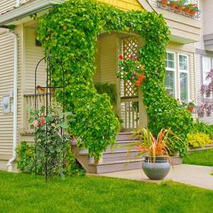 Support de plante grimpante en acier pour jardin extérieur, 100% métal, pour clematis, vigne, <span class=keywords><strong>jasmin</strong></span>, vente en gros d'usine - Product Image 5