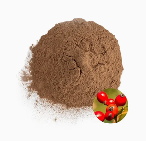 Di alta qualità estratto di rosa canina in polvere organico puro rosa rosa estratto <span class=keywords><strong>5</strong></span>%-25% VC rosa canina in polvere per uso alimentare per la vendita - Product Image 3