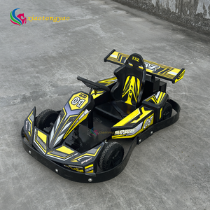 Karts électriques attrayants en promotion pour enfants et adolescents avec lumières colorées pour les parcs d'attractions et les centres commerciaux - Product Image 4