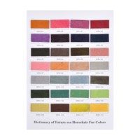 Outil de conception de dictionnaire de crin de cheval coloré pour carte de couleur de crin de cheval produit en cuir fabriqué en Stock