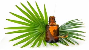 Huile de palmier nain pour les soins du cuir chevelu et du corps, pour la massothérapie, les séances de spa, la relaxation, le renforcement des cheveux et les soins quotidiens - Product Image 4