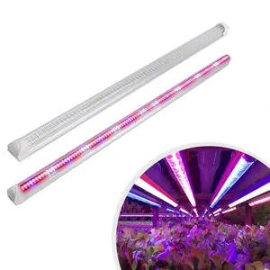 Sinjialight 30W T8 2ft Led Grow Light Tube Voor Verticale Landbouw Hydrocultuur Groeien Plank Rack ZW0205