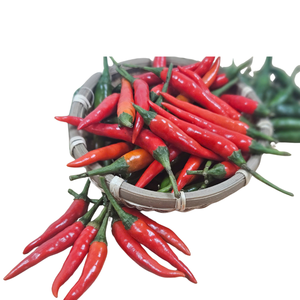 Pimientos congelados agrícolas vietnamitas frescos, embalaje personalizado, precio razonable, alimentos, bebidas, procesamiento crudo, venta al por mayor - Product Image 1