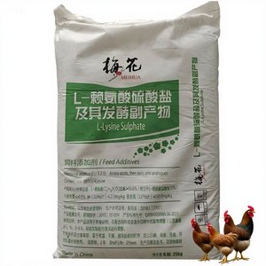 70% <span class=keywords><strong>L</strong></span> <span class=keywords><strong>Lysine</strong></span> <span class=keywords><strong>Sulphate</strong></span> axit amin thức ăn phụ gia thức ăn chăn nuôi cho bò sữa - Product Image 1