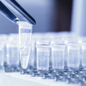 Tubo de Microcentrífuga Transparente de Polipropileno de 0.2mL, 0.5mL, 1.5mL con Tapa a Presión, Tubo de Ensayo para Laboratorio - Product Image 1