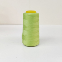 Pasokan Pabrik Harga Terjangkau Benang Jahit 100% Poliester Spun 40/2 3000 Yard Kekuatan Tinggi Tahan Abrasi Rendah