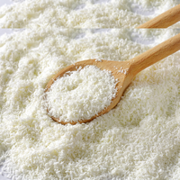 Noix de coco déshydratée blanche de qualité supérieure, grade fin, 100 % noix de coco fraîche, durée de conservation de 24 mois, approvisionnement en vrac B2B pour la transformation alimentaire