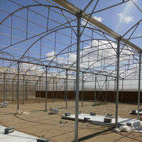 Serre hydroponique commerciale en feuille de polycarbonate 2022 fabriquée en chine