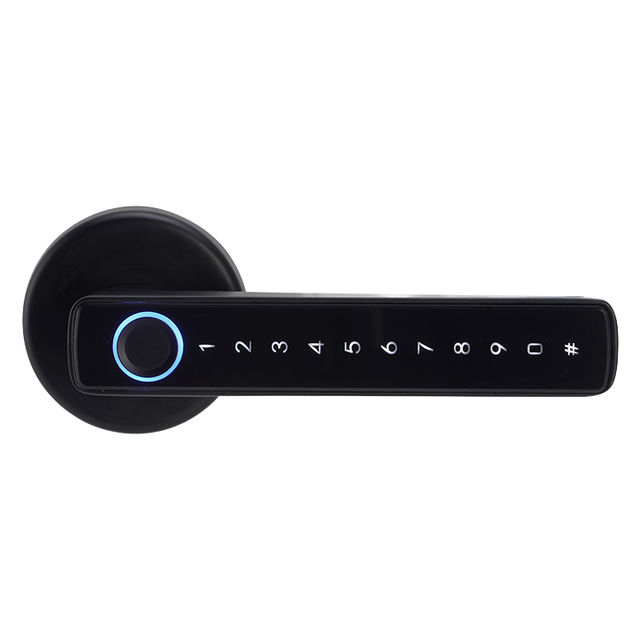Lock Biometric Fingerprint Automatic Smart Door Automatic Password Lock Smart Locks