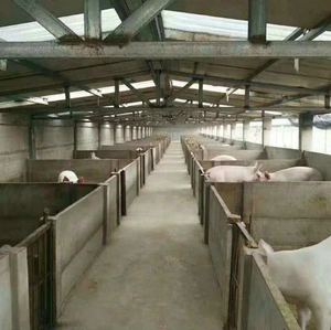 Painel de parede de concreto/de cerca de concreto/molde de paredes do painel de cimento oco para venda - Product Image 2