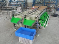 Hete verkoop fruit dadels ui sorteermachine en maat sorteermachine appel walnoot zwarte peper fruit & groente sorteermachine