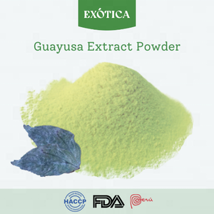 Extracto de Hoja de Guayusa en Polvo de Alta Calidad 100% Peruano, Aumenta la Energía, Ilex Guayusa - Product Image 2