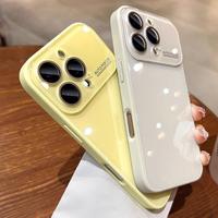 Coque de téléphone de luxe pour iPhone 12 13 14 15 16 17 Pro Max avec grande fenêtre et dos en verre brillant