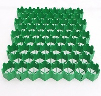 Grille de pavage perméable en plastique facile à installer, résistance de charge 200t/m², durée de vie 20 ans, pour pâturages équestres et situations d'urgence