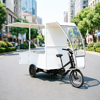 Vélo cargo urbain, tricycle motorisé puissant pour livraison express de marchandises lourdes