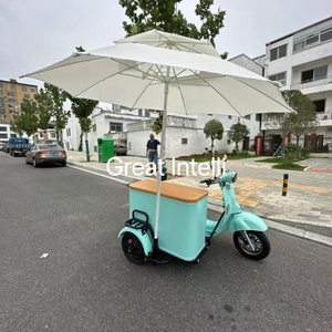 Bar mobile Boissons Bière Vélos Jus de fruits Boissons froides Distributeur automatique Tricycle Vélo Bière Vélo 3 roues Chariot à glaces - Product Image 6