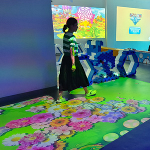 <span class=keywords><strong>Jeu</strong></span> de sport de projection en métal interactif au <span class=keywords><strong>sol</strong></span> 3D pour parc de trampoline éducatif de jardin intérieur Occasions d'aéroport - Product Image 1