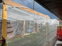 Filet tricoté en HDPE anti-grêle, résistant aux UV et durable pour vergers, vignobles, arbres fruitiers, fermes, serres - Rouleaux de protection des cultures