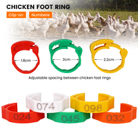 Bague de cheville réglable pour volaille (poulet, canard, oie) de 1,8 à 2,2 cm, diverses couleurs, type de fermoir, avec numéros