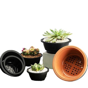 Macetas Coreanas para <span class=keywords><strong>Suculentas</strong></span> de Varios Tamaños, Macetas Redondas y Gruesas, Macetas Combinadas con Diseño de Tronco Viejo, Macetas de Plástico para Plantas Verdes y Flores - Product Image 5