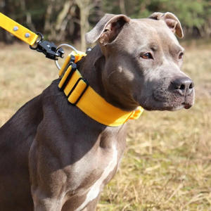 OEM 2 pulgadas nylon metal pesado entrenamiento mascota collar neopreno ancho resistente matón perro collar con asa - Product Image 5