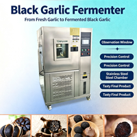 Machine à fermenter l'ail noir avec revêtement interne en acier inoxydable, prolongeant la durée de vie de la machine et réduisant les coûts de remplacement
