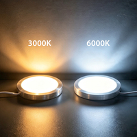 Kit de Luces LED Empotradas Ultra Delgadas de 12V 24V para Vitrinas, Armarios, Cocinas, Gabinetes de Exhibición y Alacenas