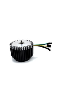 M12500-3 800W Không Chổi Than Dc Động Cơ Máy Cắt Cỏ Động Cơ - Product Image 6