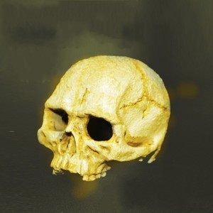 ของตกแต่งตู้ปลา บ้านเลี้ยงสัตว์เลื้อยคลาน แมงมุม แมงป่อง งู รูปทรงหัวกะโหลก สำหรับเลี้ยงและหลบหนี - Product Image 5