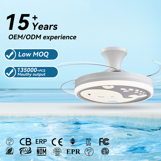 Chidren's Bedroom Play Room New Decoration Fast Installation Retractable ABS Blades BLDC Motor LED Ceiling Fan Light with Remote