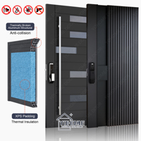 Portes doubles indiennes, design moderne en aluminium noir, design de porte pivotante, porte d'entrée de villa en aluminium